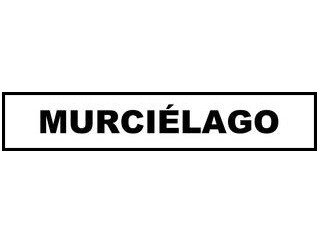 Lamborghini Murcielago Autohaus Priewasser in Ried im Innkreis